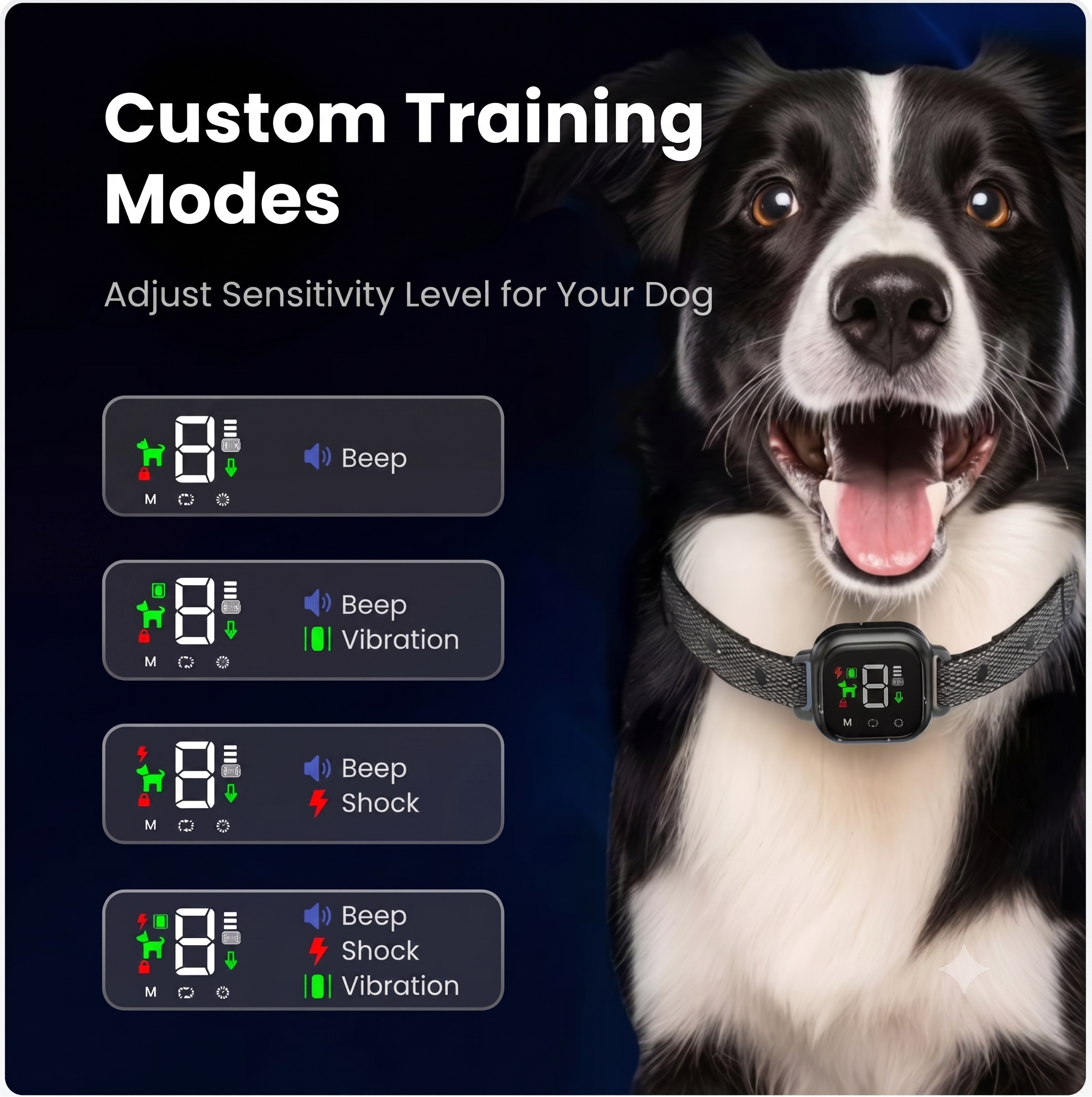 NooBark Custom Training Modes Interface