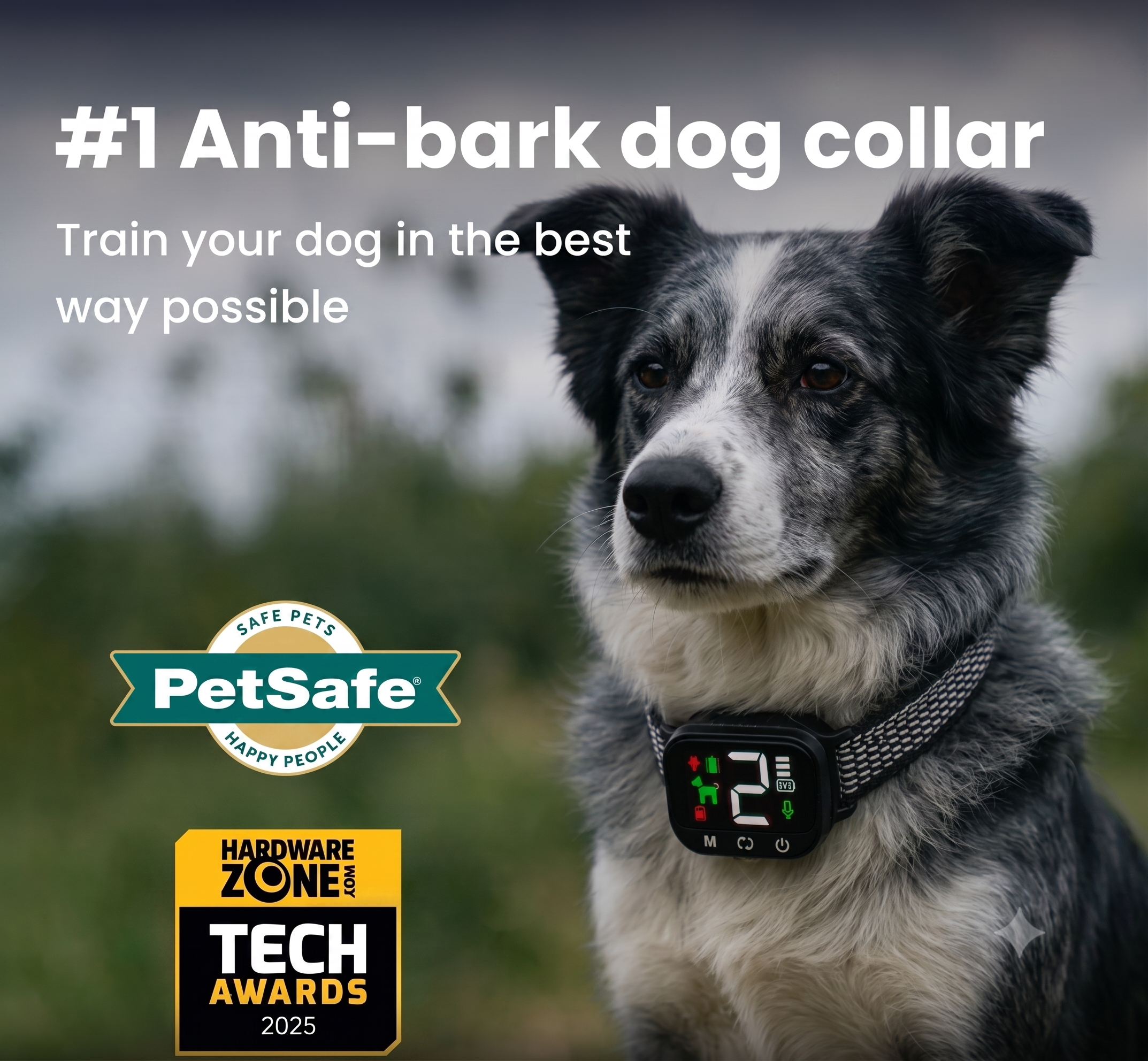 NooBark #1 Anti-Bark Dog Collar